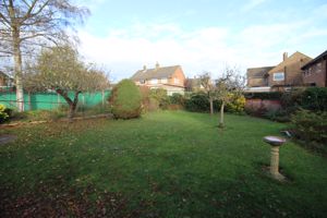 Photo 11- click for photo gallery